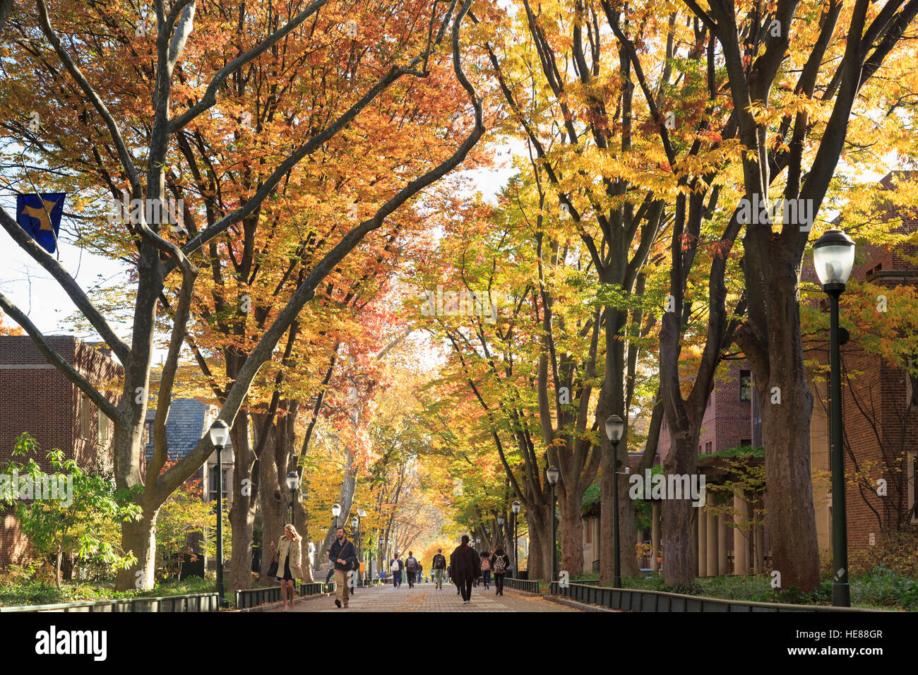 Heuschrecken Spaziergang mit einer Menge von Studierenden im Herbst auf dem Campus, Universität von Pennsylvania, University City, Philadelphia, PA, USA Stockfoto