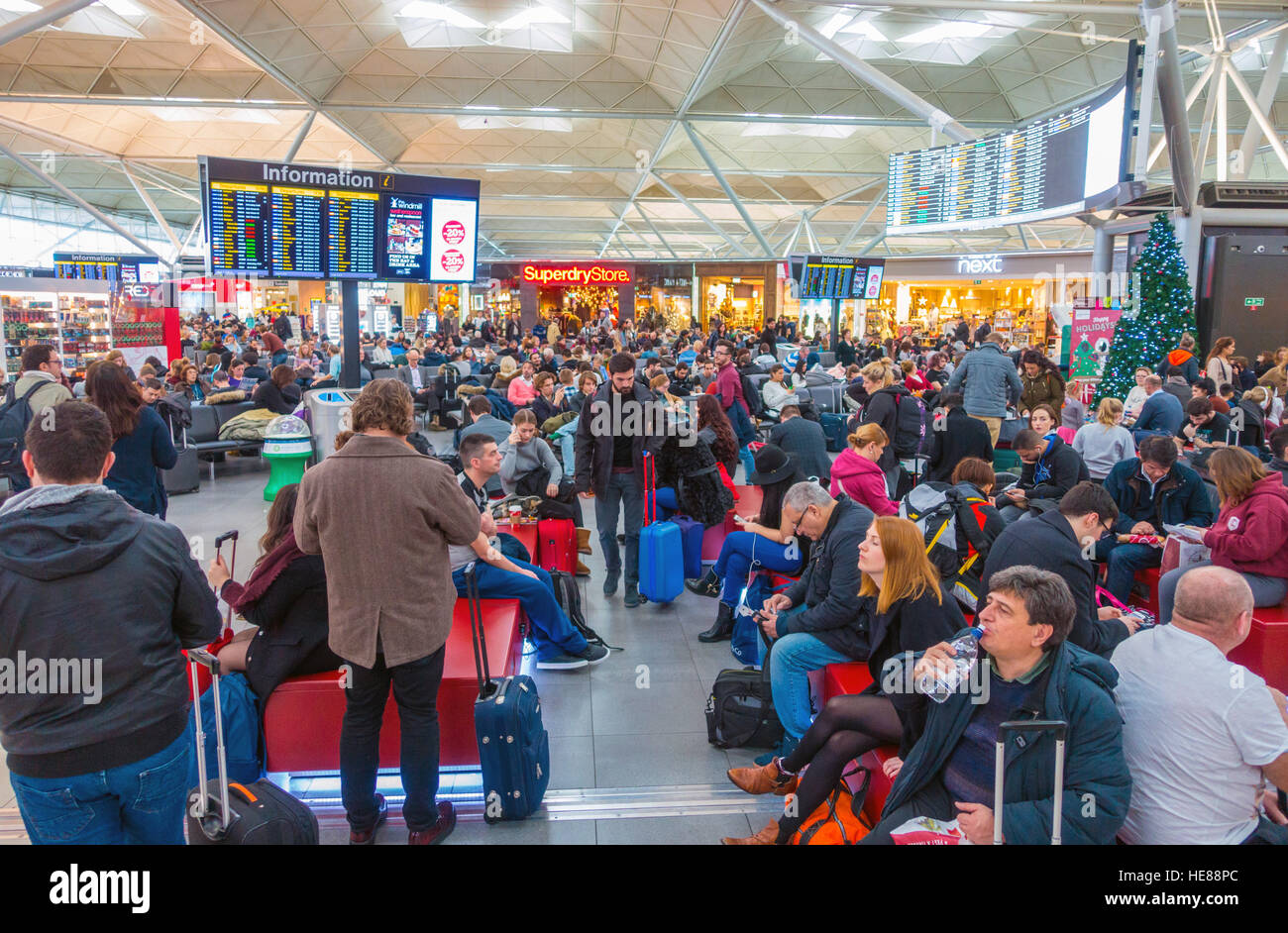 Weihnachten Urlaub Menschenmassen am Flughafen Stansted für das Urlaubsziel. Stockfoto