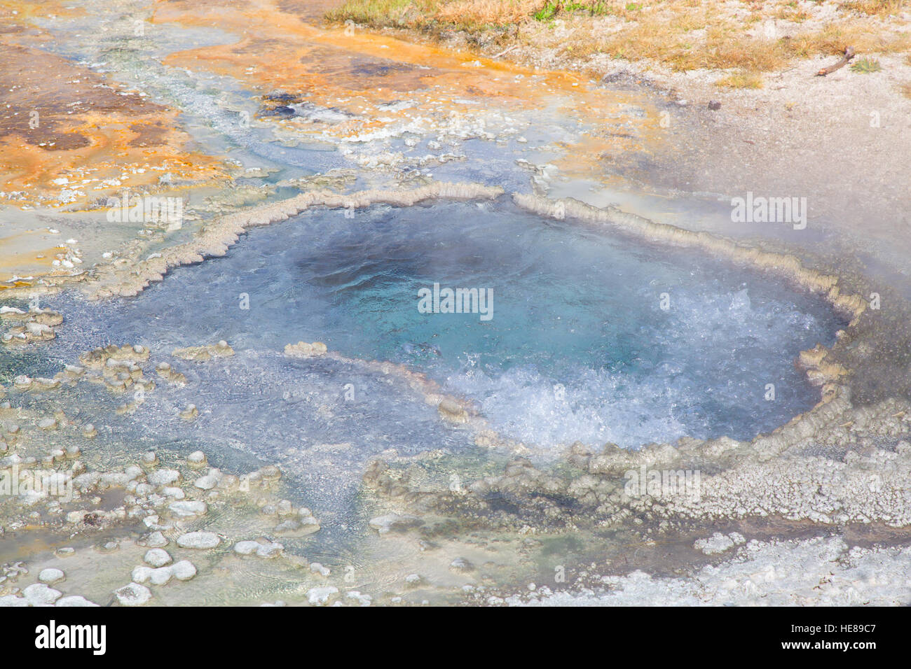 Bunte heißes Wasser Pool im Yellowstone Nationalpark, USA Stockfoto