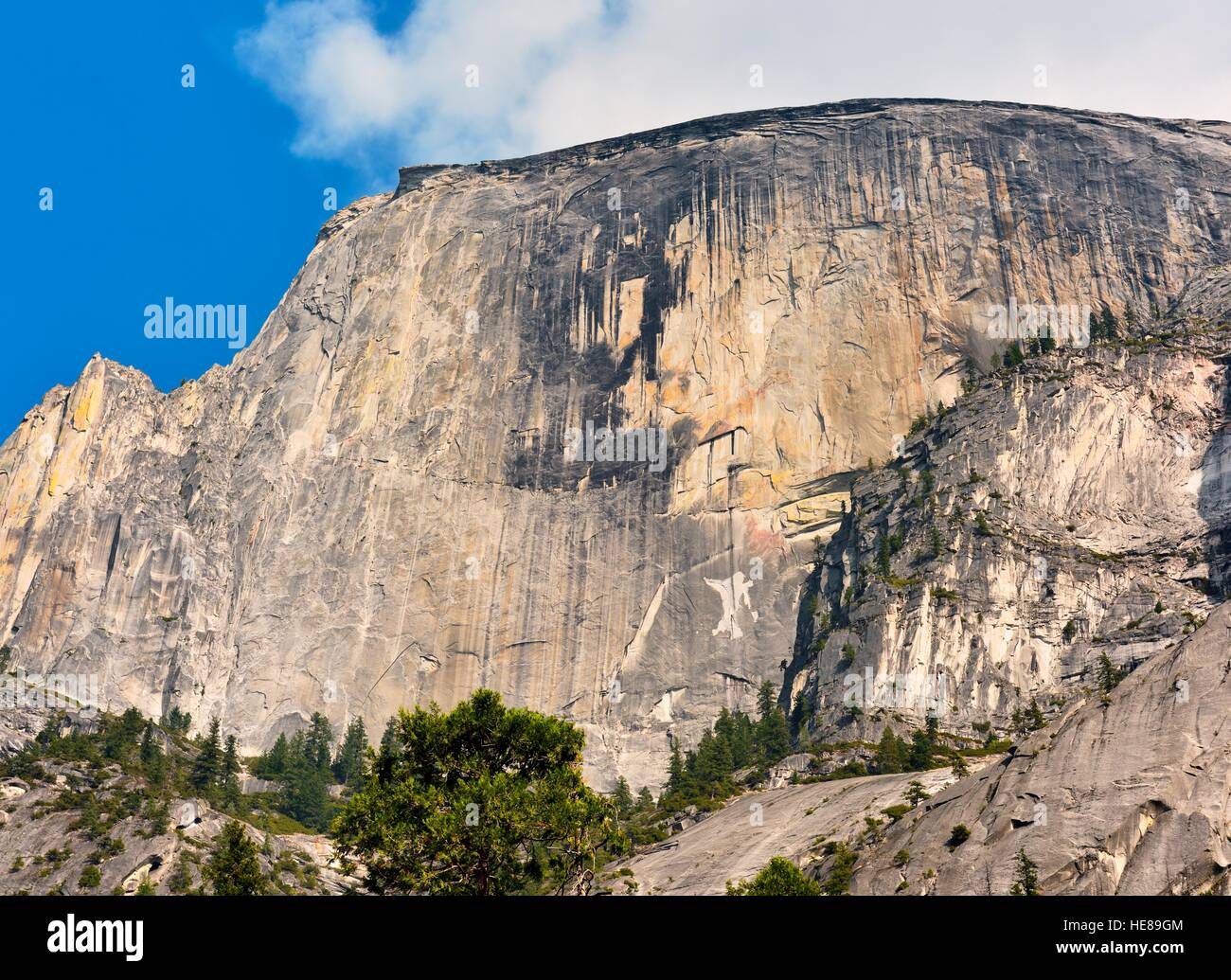 Half Dome, Felswand, West Schulter, Yosemite-Nationalpark, Kalifornien, USA Stockfoto