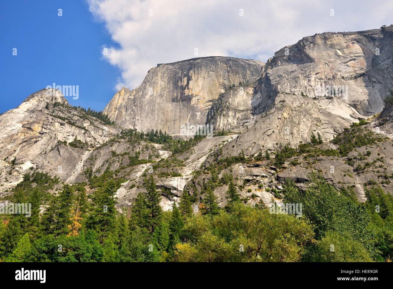 Half Dome, Felswand, West Schulter, Yosemite-Nationalpark, Kalifornien, USA Stockfoto