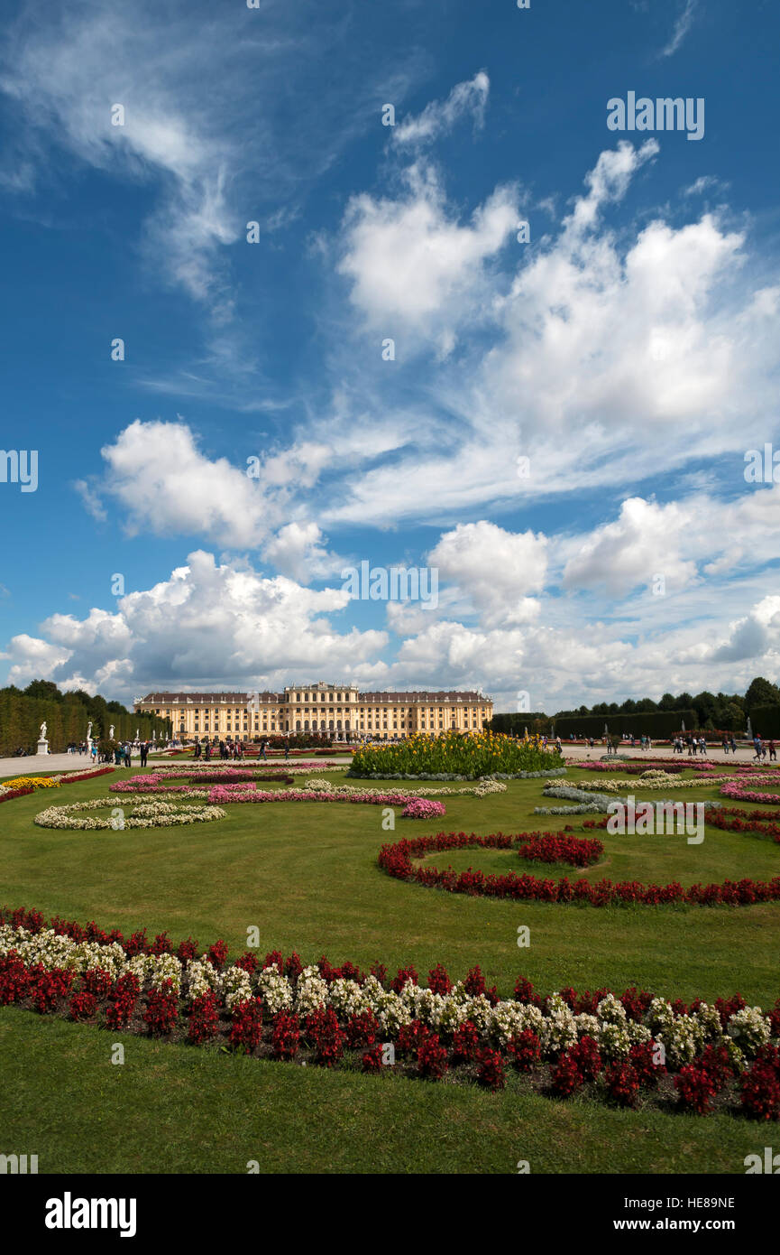 Blumenbeet im Park, Schloss Schönbrunn, Wien, Österreich Stockfoto