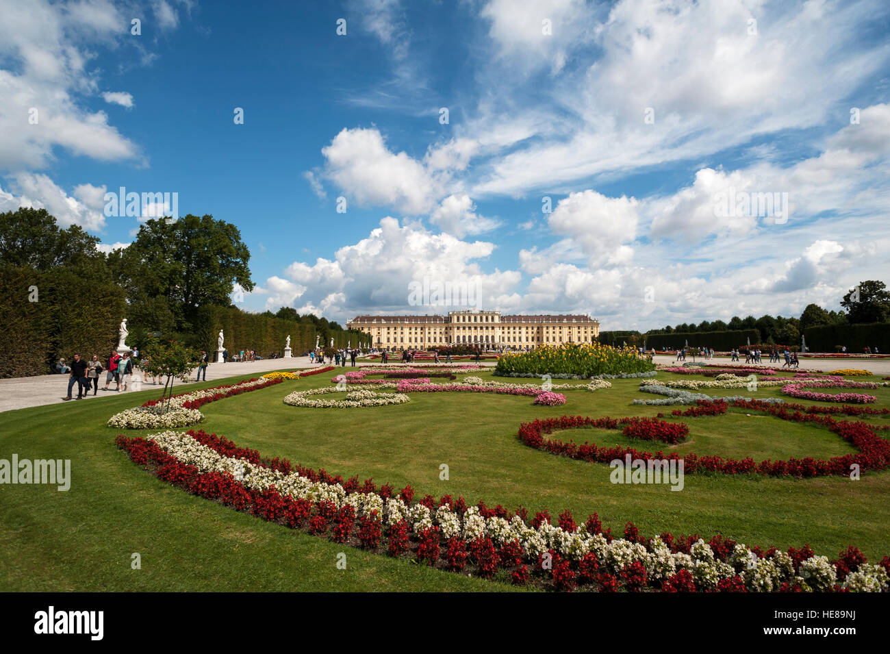 Blumenbeet im Park, Schloss Schönbrunn, Wien, Österreich Stockfoto