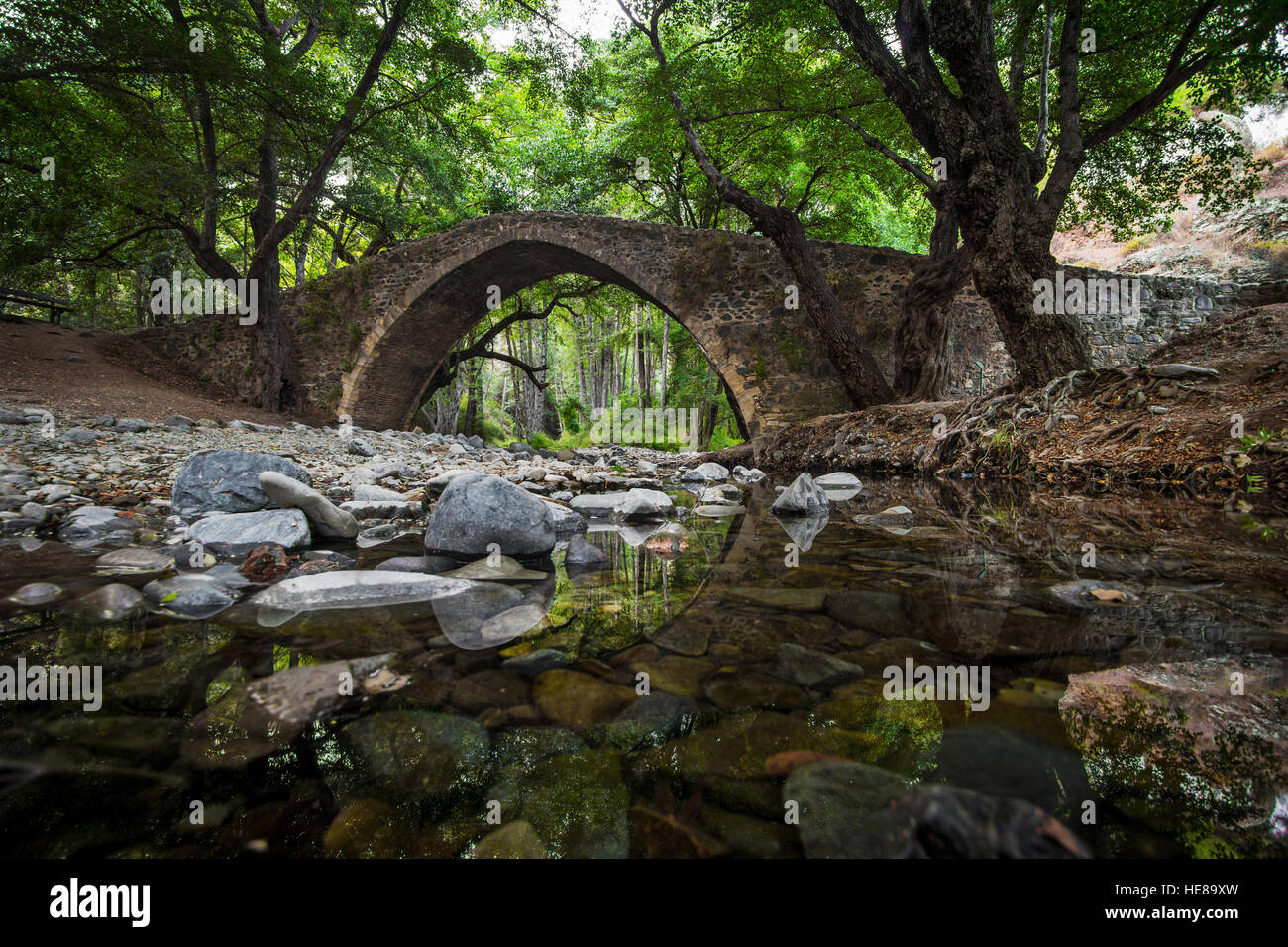 Wunderschöne venezianische Brücke im Wald Stockfoto