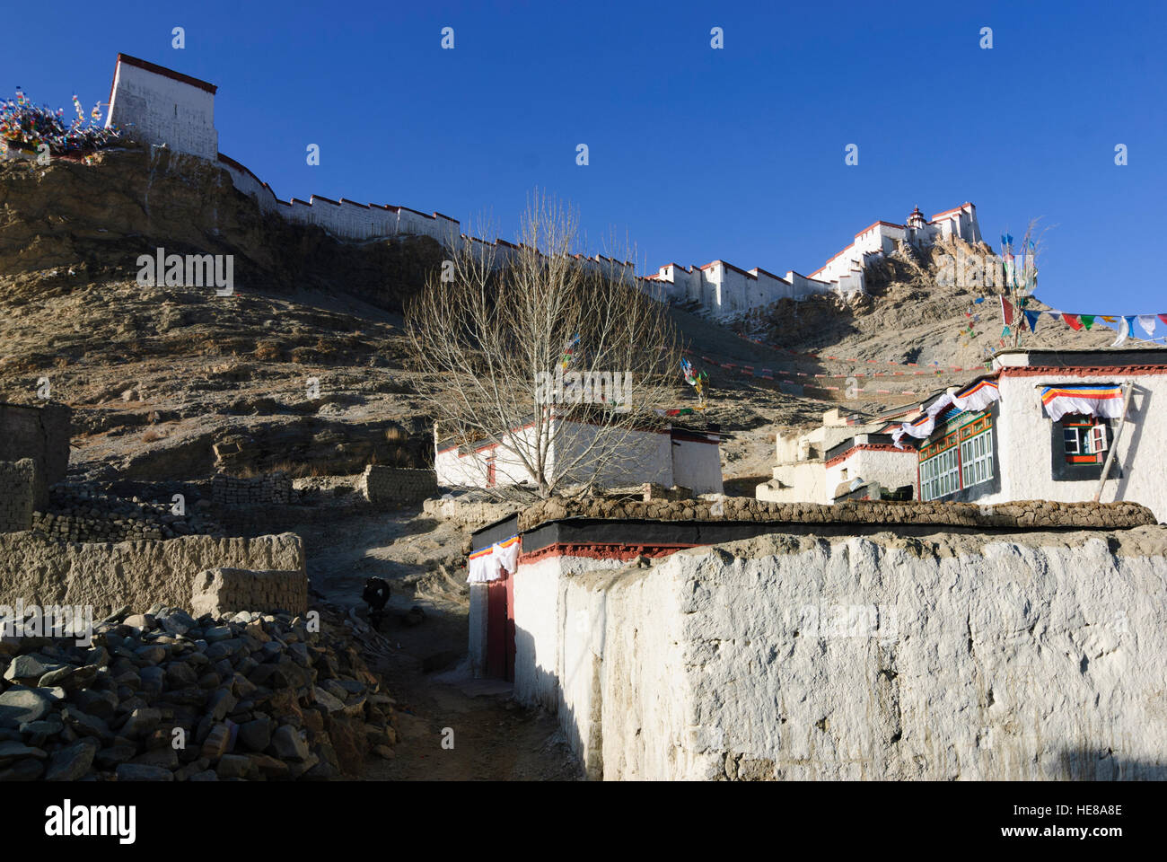 Gyantse: (Burg) Gyantse Dzong und tibetischen Wohn Häuser, Tibet, China Stockfoto