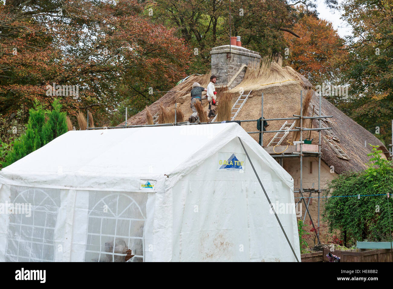 Thatchers Reparatur Dach auf Reetdachhaus mit Zelt im Vordergrund Stockfoto