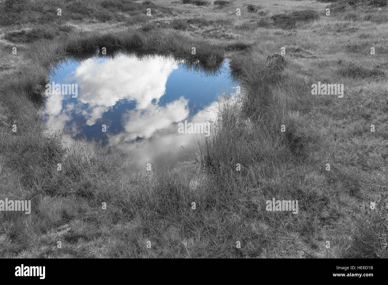 der Himmel spiegelt sich über ein kleiner Bergsee Stockfoto