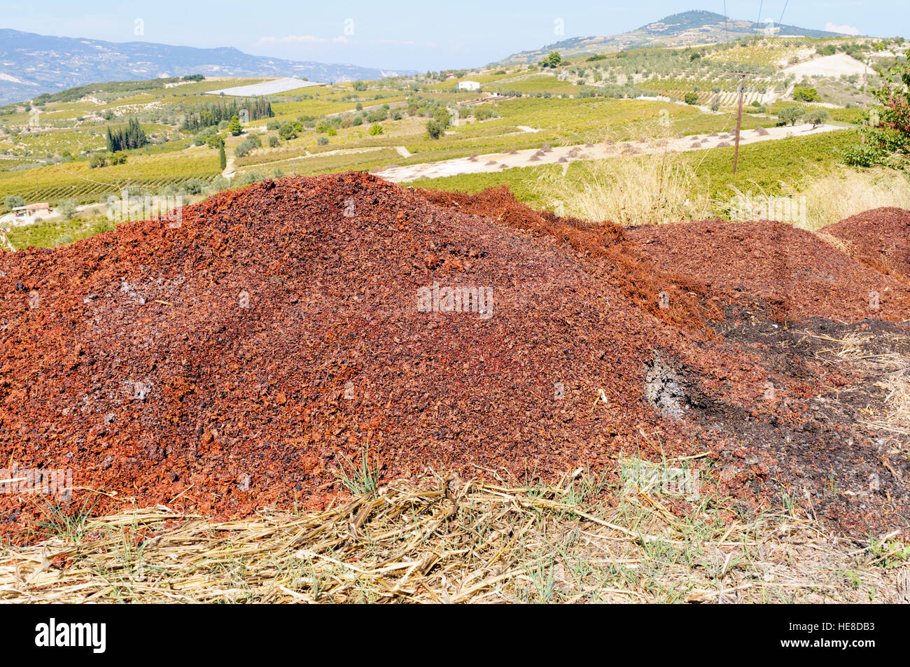 Ausrangierte Agiorgitiko rote Traubenschalen, Trester, in einem Weingut, Nemea, Peloponnes, Griechenland Stockfoto
