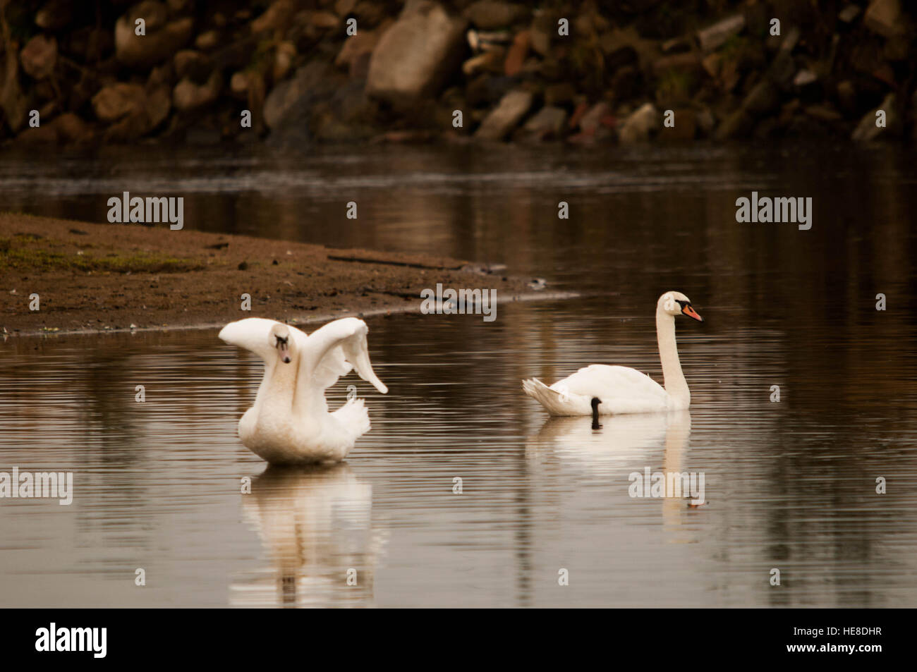 Gefrorene Eiskristalle auf Rasen Stockfoto