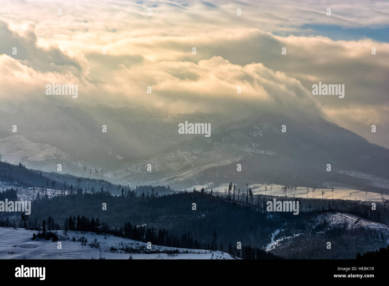 schwere Wolken über Berggipfel. Fichtenwald auf einer Wiese voller Schnee Stockfoto