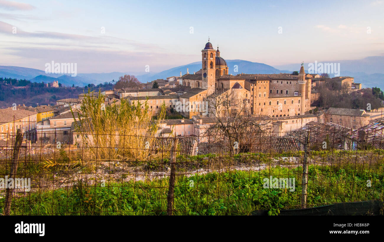 Urbino, eine ummauerte Stadt in der italienischen Region Marken. Die Kathedrale und der Palazzo Ducale-Gebäude zu sehen. Stockfoto