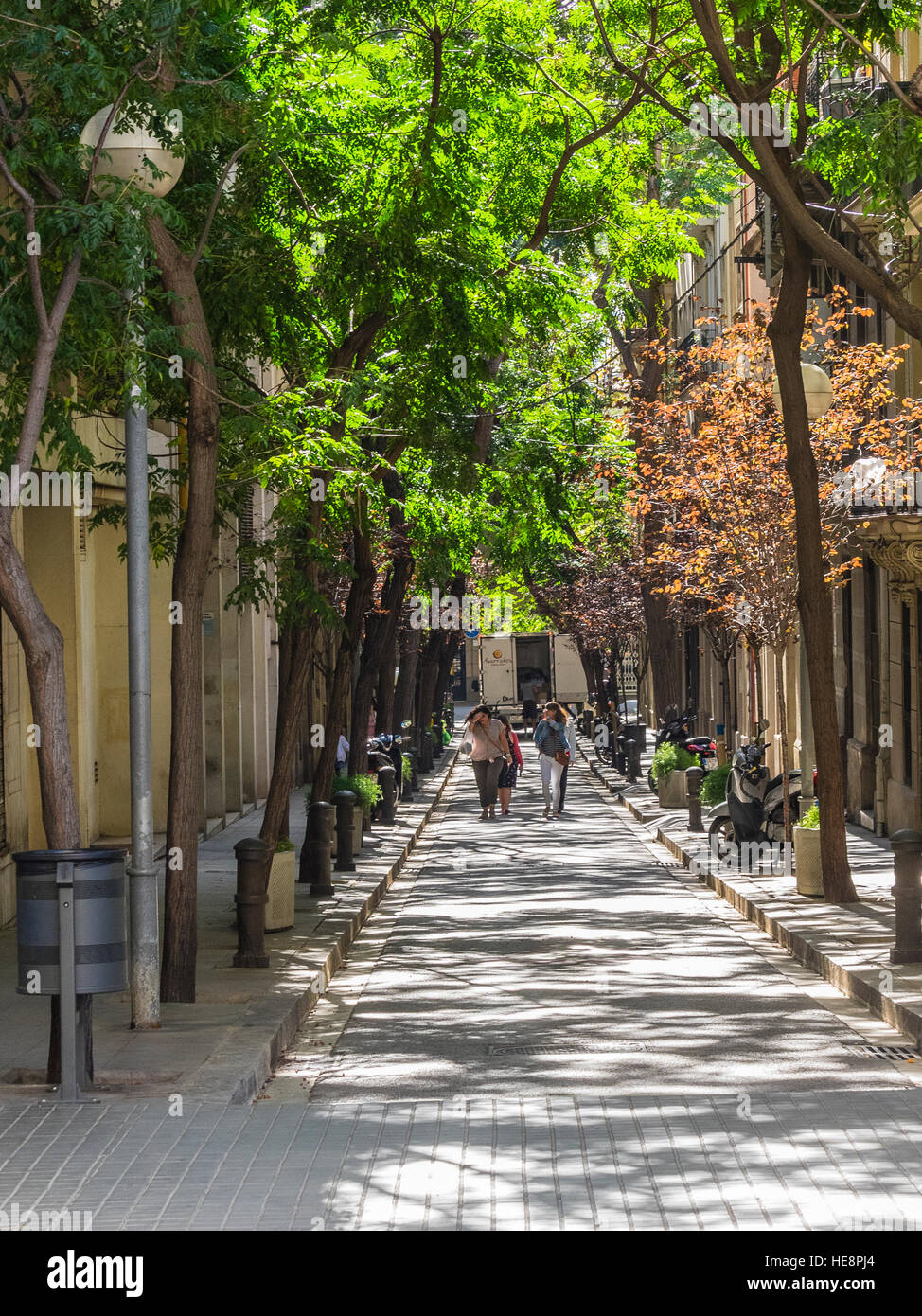 Erwachsene gehen gemeinsam entlang einer schmalen Bäumen gesäumten Straße in Barcelona, Spanien. Stockfoto