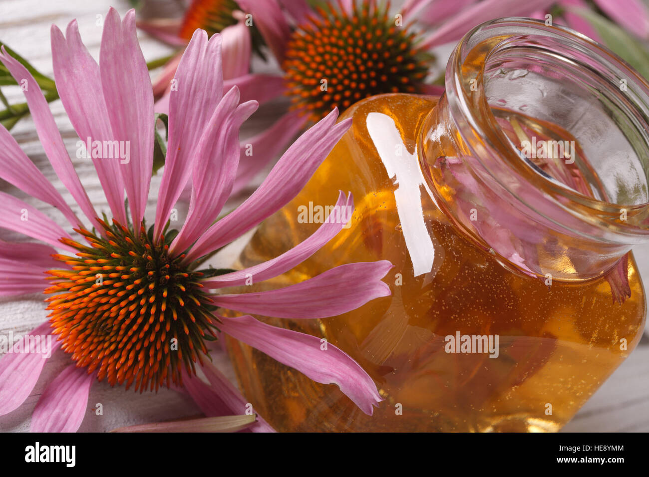 Tinktur aus Echinacea Purpurea Makro in einer Glasflasche. horizontale Stockfoto