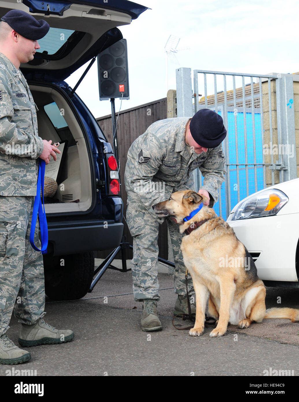 Staff Sgt Samuel Giordano, 100. Sicherheit Kräfte Squadron militärischer Arbeitshund Handler, bringt eine zivile Halsband und Leine ins militärischer Arbeitshund Desant, 24. Februar 2012 von Staff Sgt John Houston, 100. Sicherheit Kräfte Squadron militärischer Arbeitshund Abschnitt bei Desants Pensionierung Zeremonie hier vorgestellt. Giordano, Desants letzten Handler, vertauscht die militärische Gebrauchshund offizielle Kragen für einen hellen blauen Kragen, zu zeigen, dass er aus der Air Force im Ruhestand. Stockfoto