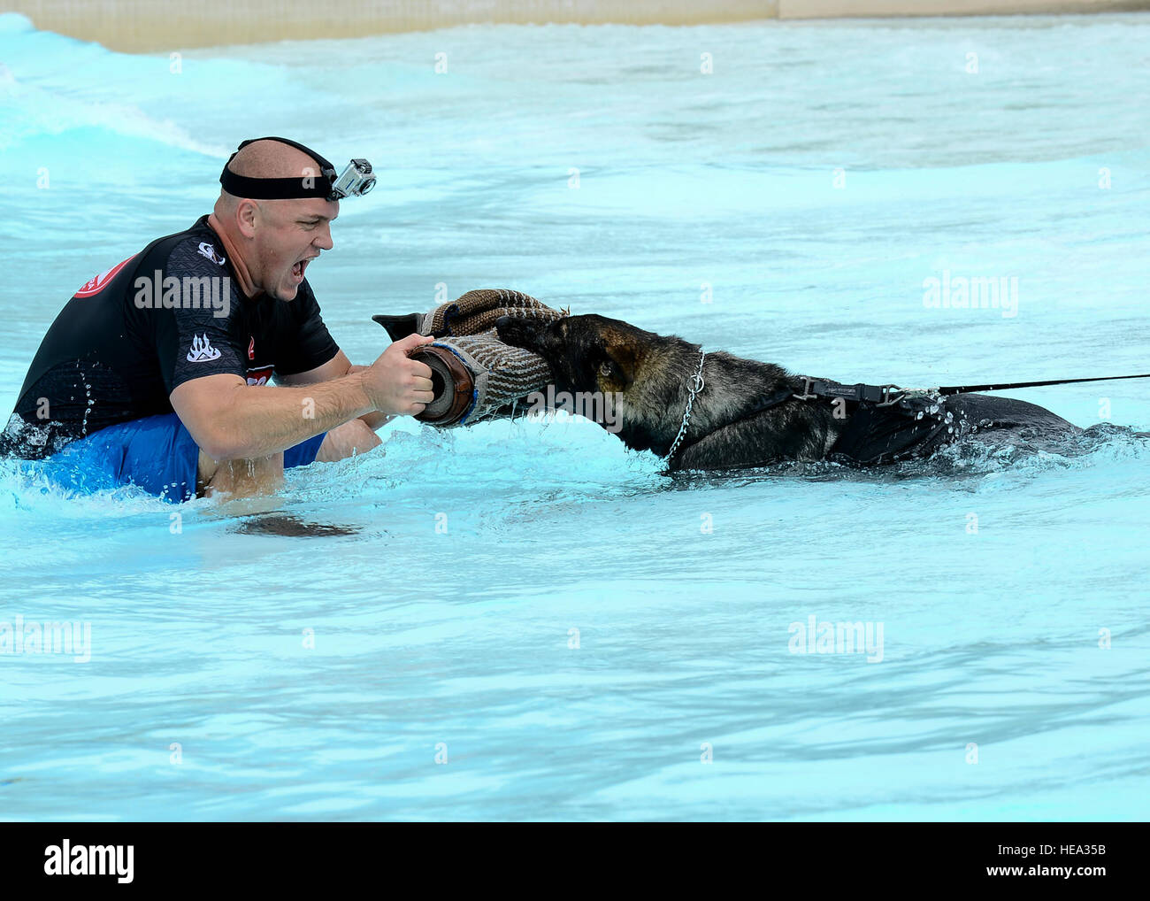 Ryan Flannigan, Tampa Police Department Eckzahn Handler, unterstützt Zoran, 6. Sicherheitskräfte Geschwader militärische Gebrauchshund, in den Aufbau von seinem Wasser Aggression Fähigkeiten in einem lokalen Wasserpark in Tampa, Florida, 15. Oktober 2013. Die Ausbildung bot Gelegenheit zu Reaktionen des Hundes zu bewerten sowie von Polizeieinheiten Abteilung Eckzahn in der Gemeinschaft zu lernen.  Senior Airman Melanie Bülow-Kelly Stockfoto