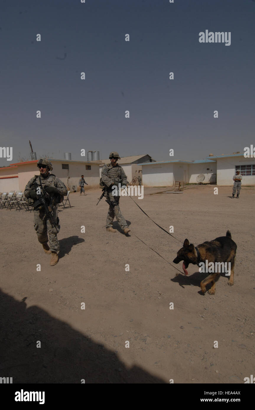 US Air Force Staff Sgt Patrick Stone, ein Hundeführer mit seinem Hund Vaulk zur 732. Support Squadron versetzt, wischen die Verbindung der Hawijah Joint Coordination Center vor der Übergabezeremonie von Alpha Company, 1. Bataillon, 87. Infanterie, 1. Brigade, 10th Mountain Division Fort-Trommel, N.Y., um lokale irakische Sicherheitskräfte, so dass lokale Sicherheitskräfte, die volle Verantwortung für die Sicherheit und Sicherung der Hawijah. Stockfoto