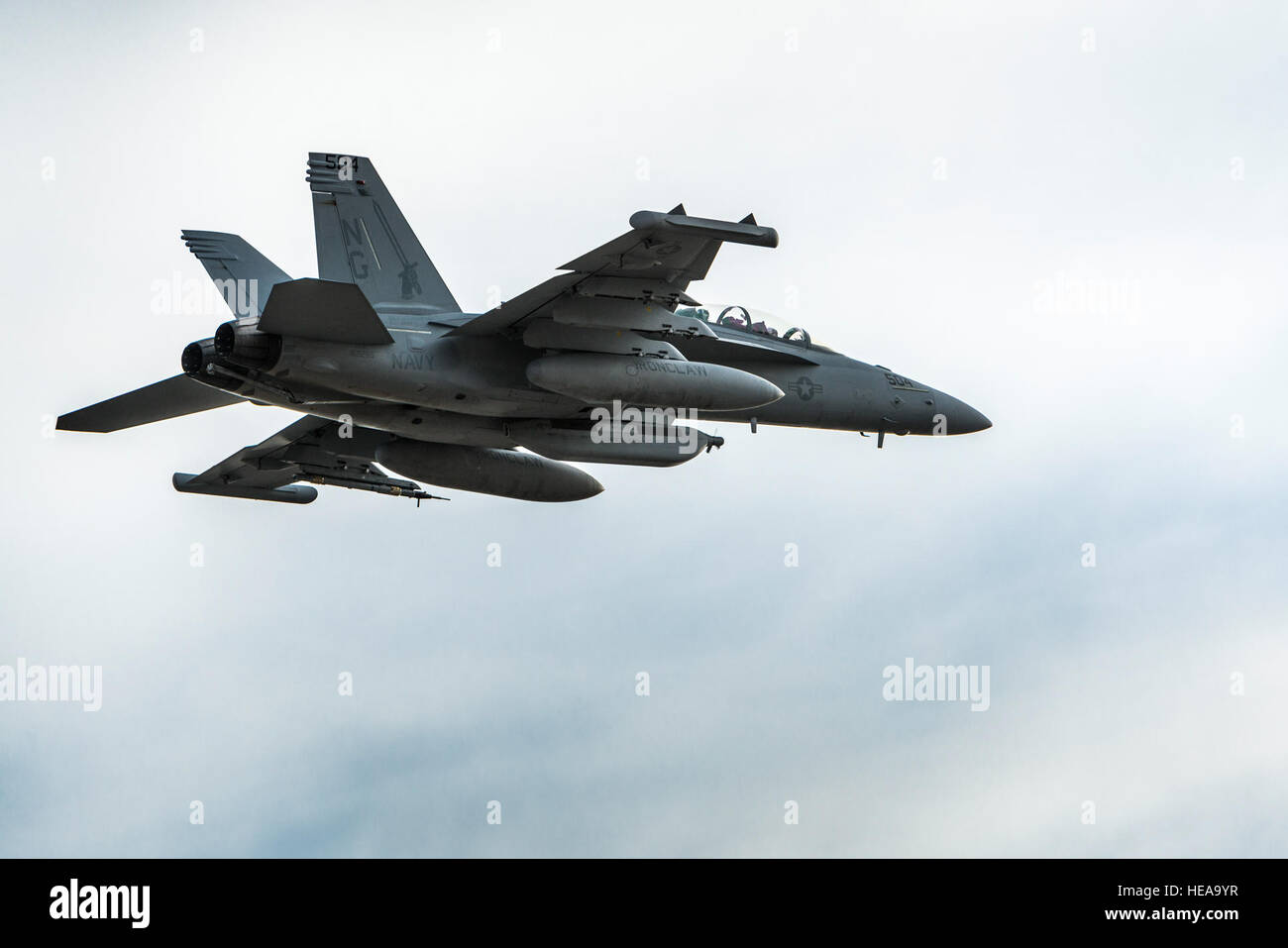 Ein US-Navy EA - 18G Growler zieht in Mountain Home Air Force Base, Idaho, 16. Oktober 2013. Der Growler flog als Teil des Berges Roundup, eine massive Multi-service, multi-nationalen Bewegung.  Techn. Sgt. Samuel Morse Stockfoto