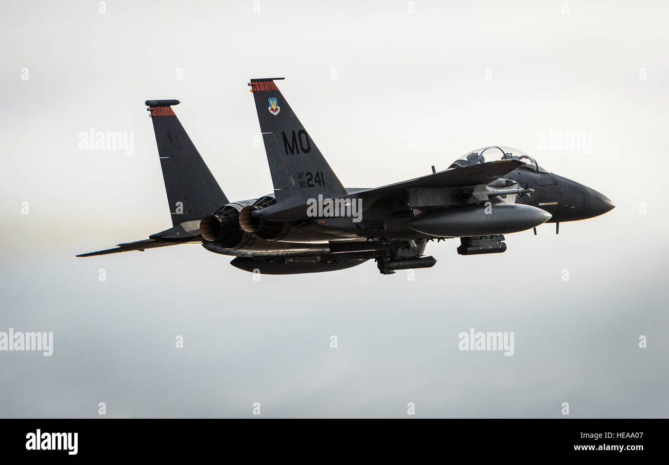 Ein US-Air Force F-15E Strike Eagle zieht in Mountain Home Air Force Base, Idaho, 16. Oktober 2013. Der Flug war Teil des Berges Roundup, eine massive Multi-service, multi-nationalen Bewegung.  Techn. Sgt. Samuel Morse Stockfoto