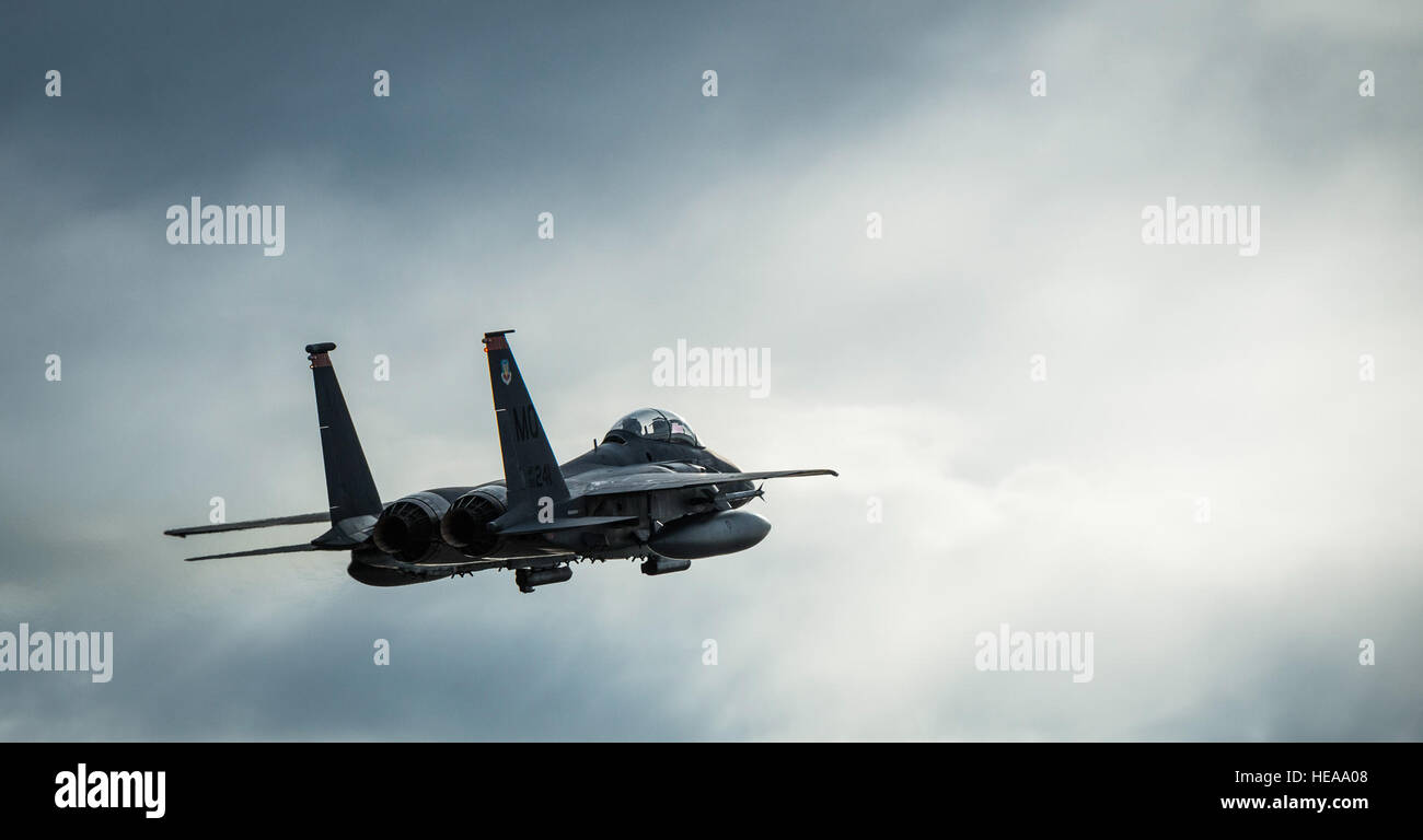 Ein US-Air Force F-15E Strike Eagle zieht in Mountain Home Air Force Base, Idaho, 16. Oktober 2013. Der Flug war Teil des Berges Roundup, eine massive Multi-service, multi-nationalen Bewegung.  Techn. Sgt. Samuel Morse Stockfoto