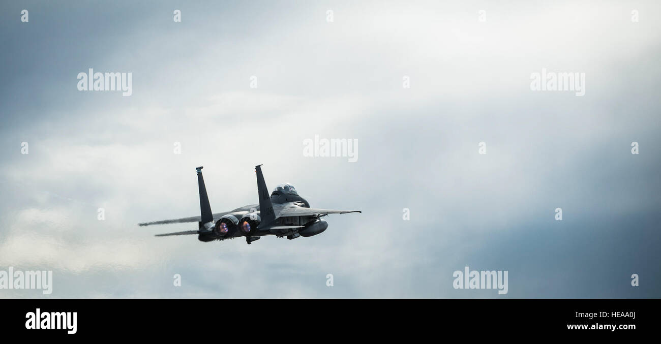 Ein US-Air Force F-15E Strike Eagle zieht in Mountain Home Air Force Base, Idaho, 16. Oktober 2013. Der Flug war Teil des Berges Roundup, eine massive Multi-service, multi-nationalen Bewegung.  Techn. Sgt. Samuel Morse Stockfoto