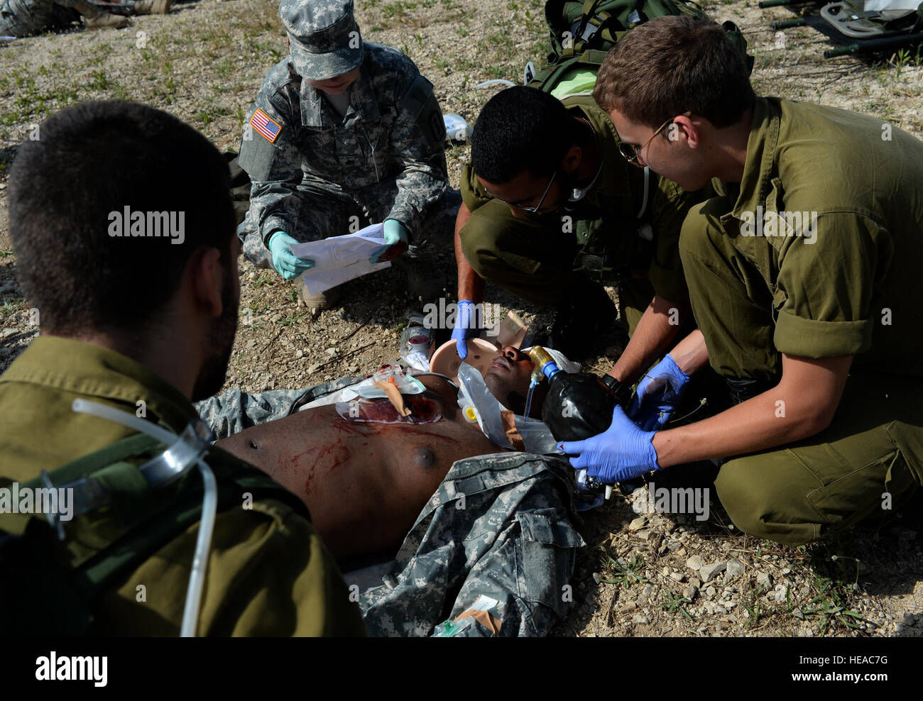 Israel Defense Forces Sanitäter und US Army Medic, oben links, die simulierten Wunden auf US Army Staff Sgt Willie Morgan behandeln, ein Generator-Mechaniker zugewiesen das 10. Armee Air and Missile Defense Command, während eine simulierte medizinische Evakuierung im Rahmen von Juniper Cobra 14 auf Hatzor Air Base, Israel, 20. Mai 2014. Juniper-Cobra ist eine bilaterale computersimulierte Übung zur Verbesserung der Interoperabilität zwischen den U.S. European Command und Israel Defense Forces.  Staff Sgt Joe W. McFadden Stockfoto