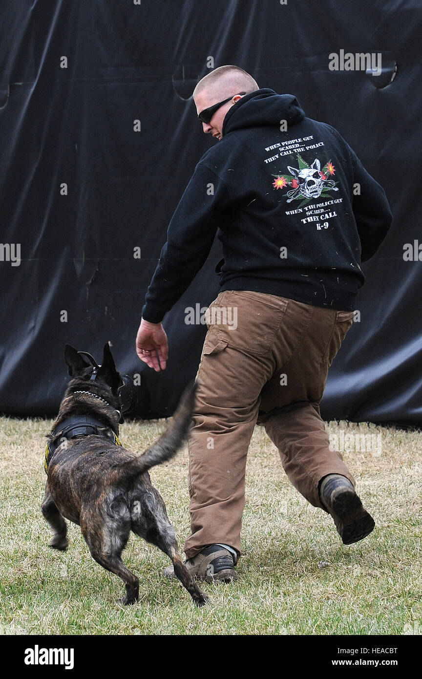 Techn. Sgt. Bryan Dell, 375-jährigen Sicherheit Kräfte Squadron NCOIC militärischer Arbeitshund Abschnitt verläuft von Fay, 375-jährigen SFS militärischer Arbeitshund, während Schnauze Aggression training 20. März 2015, bei der 375-jährigen SFS militärischen arbeiten Hundezwinger auf Scott Air Force Base, Ill. Bevor Sie zu militärischen Arbeitshunde müssen sie ihre eigenen Grundausbildung lernen Grundgehorsam, kontrollierte Aggression und so einen Verdächtigen im Innen- und Außenbereich finden Sie durchlaufen. Senior Airman Tristin Englisch) Stockfoto