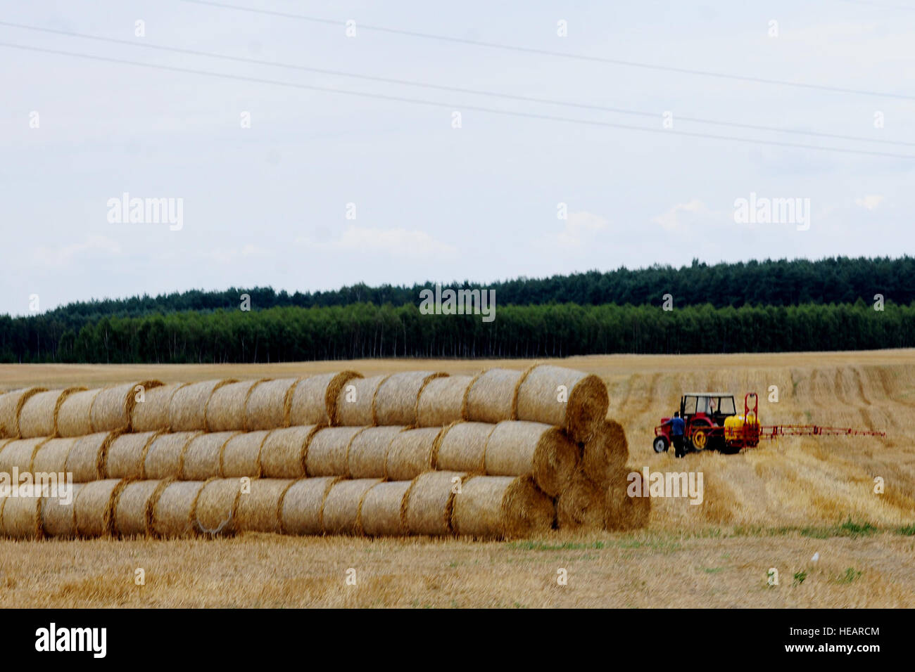 Ein Landwirt nimmt sich eine Auszeit von seiner Arbeit und ein Feld auf dem Weg zur Powidz Air Base, Polen, 1. August 2014-Umfragen. Der Einsatz von zwei C-130J Super Hercules-Flugzeuge von Ramstein Air Base, Deutschland, wurden von dem polnischen Volk gut aufgenommen.  Staff Sgt Jarad A. Denton Stockfoto