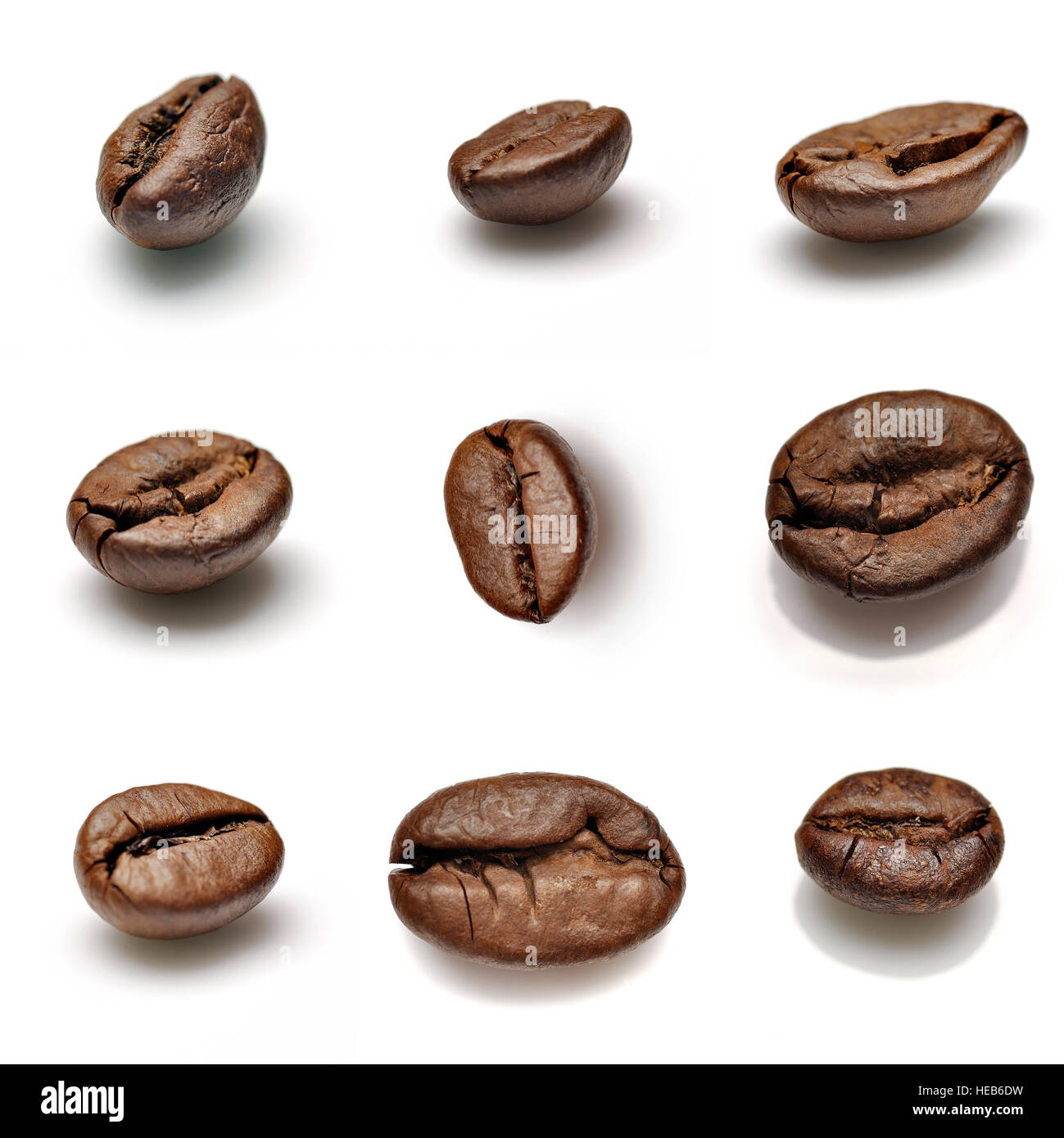 Sammlung von Kaffeebohnen isoliert auf weißem Hintergrund Stockfoto