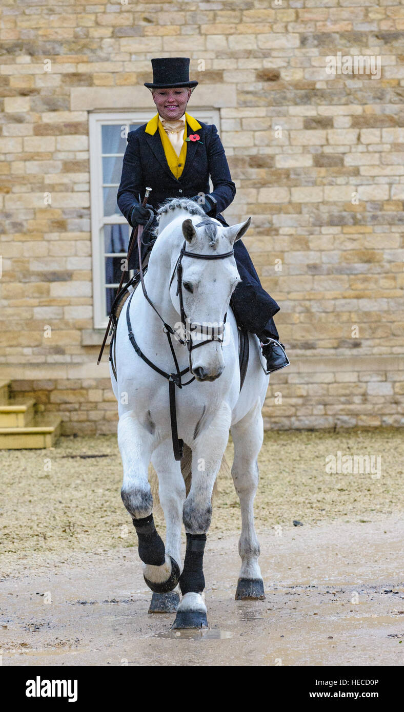 Eine elegante Dame saß Damensattel auf ihrem Pferd, gekleidet in Tradition Jagd Outfit getragen in Großbritannien Stockfoto