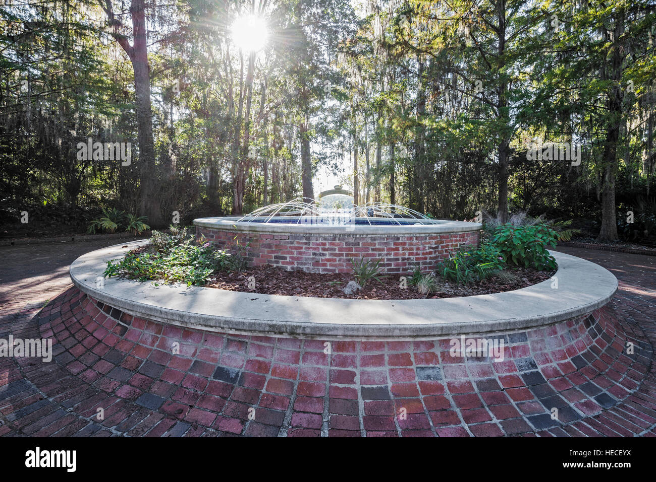 Silver Springs State Park befindet sich in Ocala, Florida, und ist Heimat eines der größten Süßwasser Federn in der Welt. Stockfoto