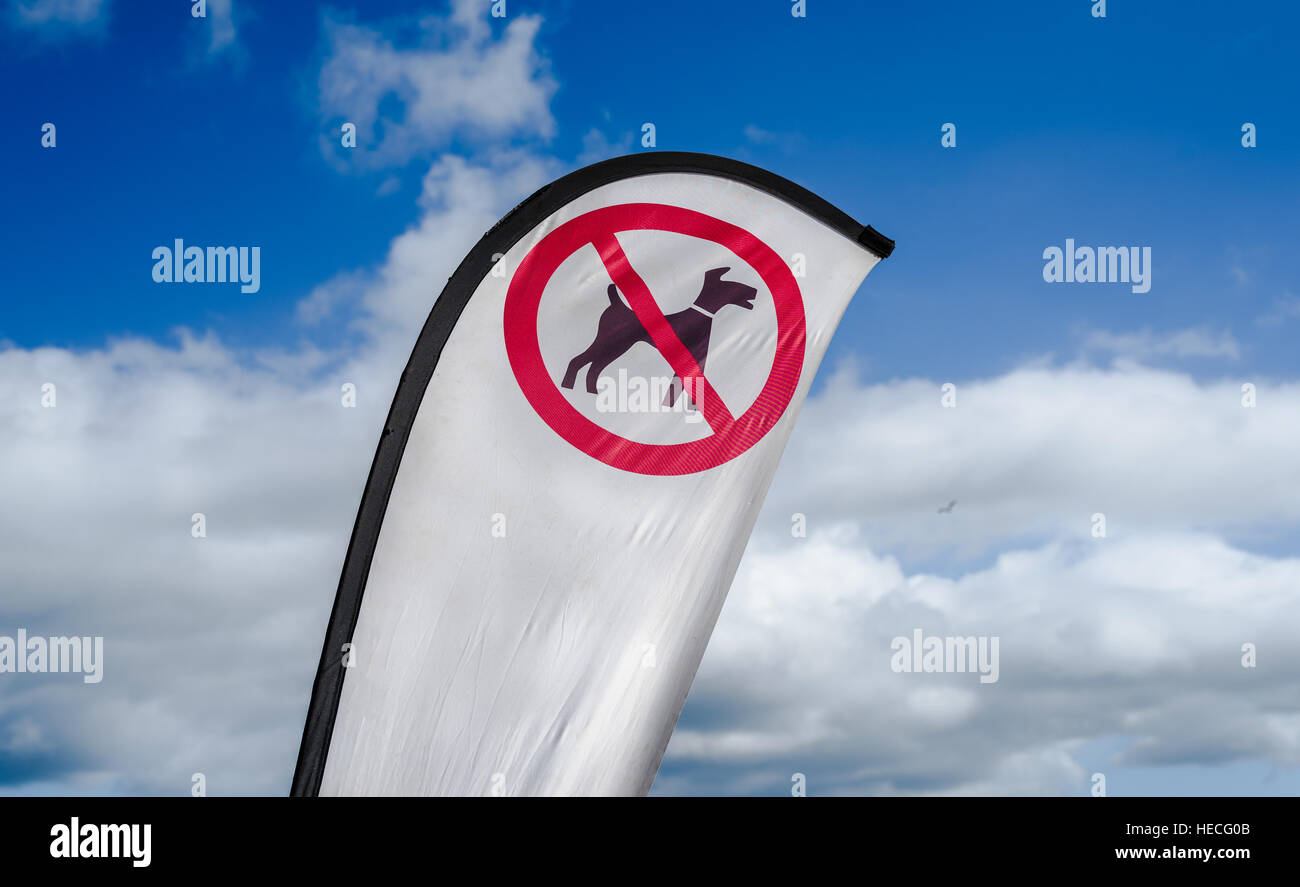 Keine Hunde am Strand Schild fliegen in den Wind. Stockfoto