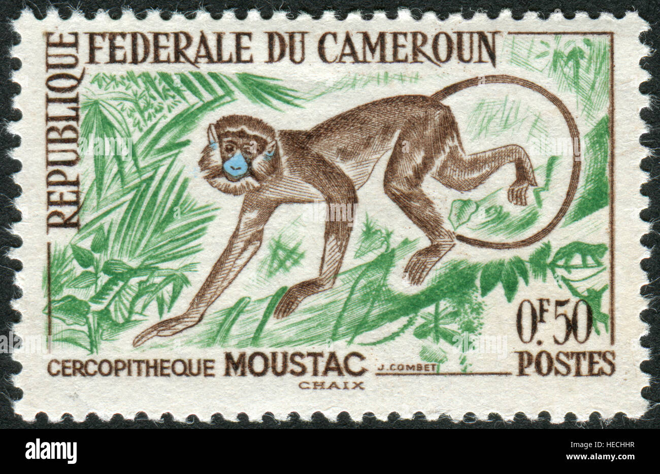 Eine Briefmarke gedruckt in Kamerun, zeigt der schnauzbärtige Guenon oder schnauzbärtige Affe (grüne Cephus) Stockfoto