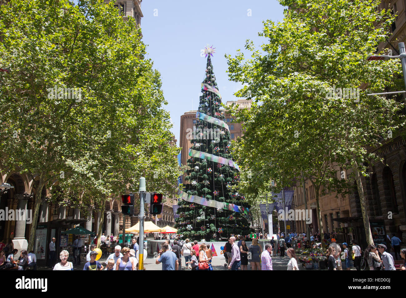 Sydney, Australien. 21. Dezember 2016. Weihnachtsbaum und Dekorationen in Martin Platz in Sydney City Centre, New-South.Wales, Australien Stockfoto