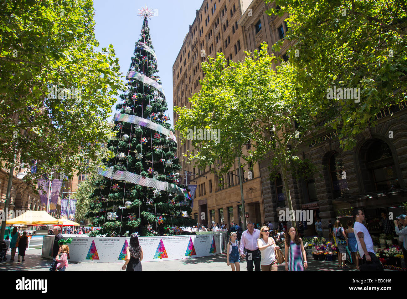 Sydney, Australien. 21. Dezember 2016. Weihnachtsbaum und Dekorationen in Martin Platz in Sydney City Centre, New-South.Wales, Australien Stockfoto