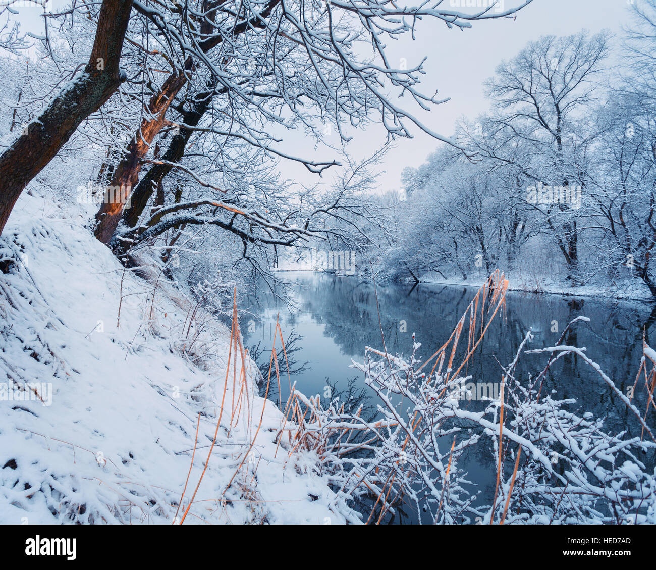 Schönen Winter im Wald am Fluss. Winterlandschaft. Verschneite Äste an Bäumen, schönen Fluss mit Spiegelung im Wasser Stockfoto