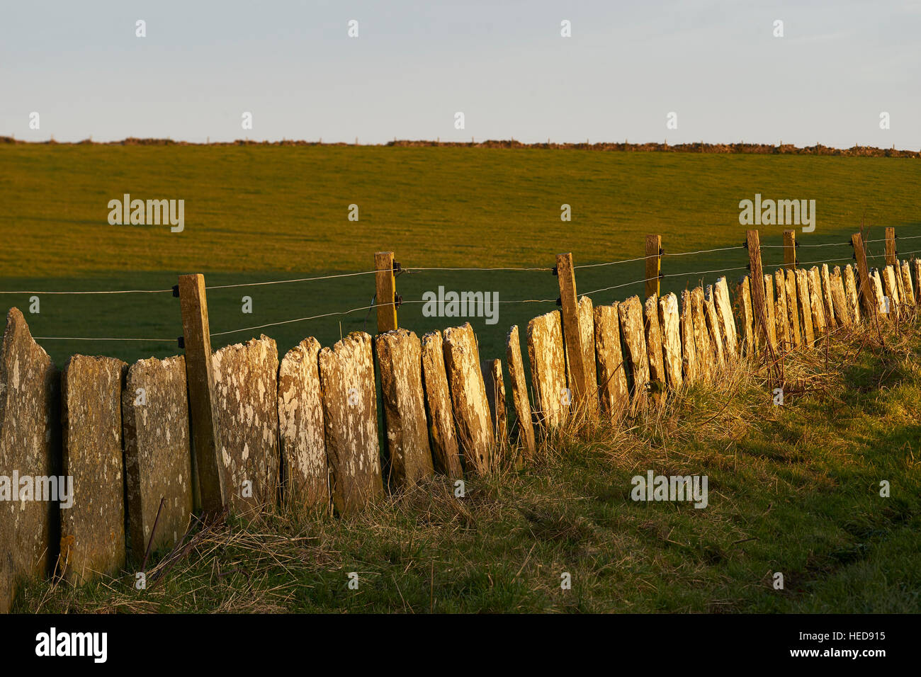 Steinplatte Deich in der Nähe von Castletown, Caithness, Schottland Stockfoto
