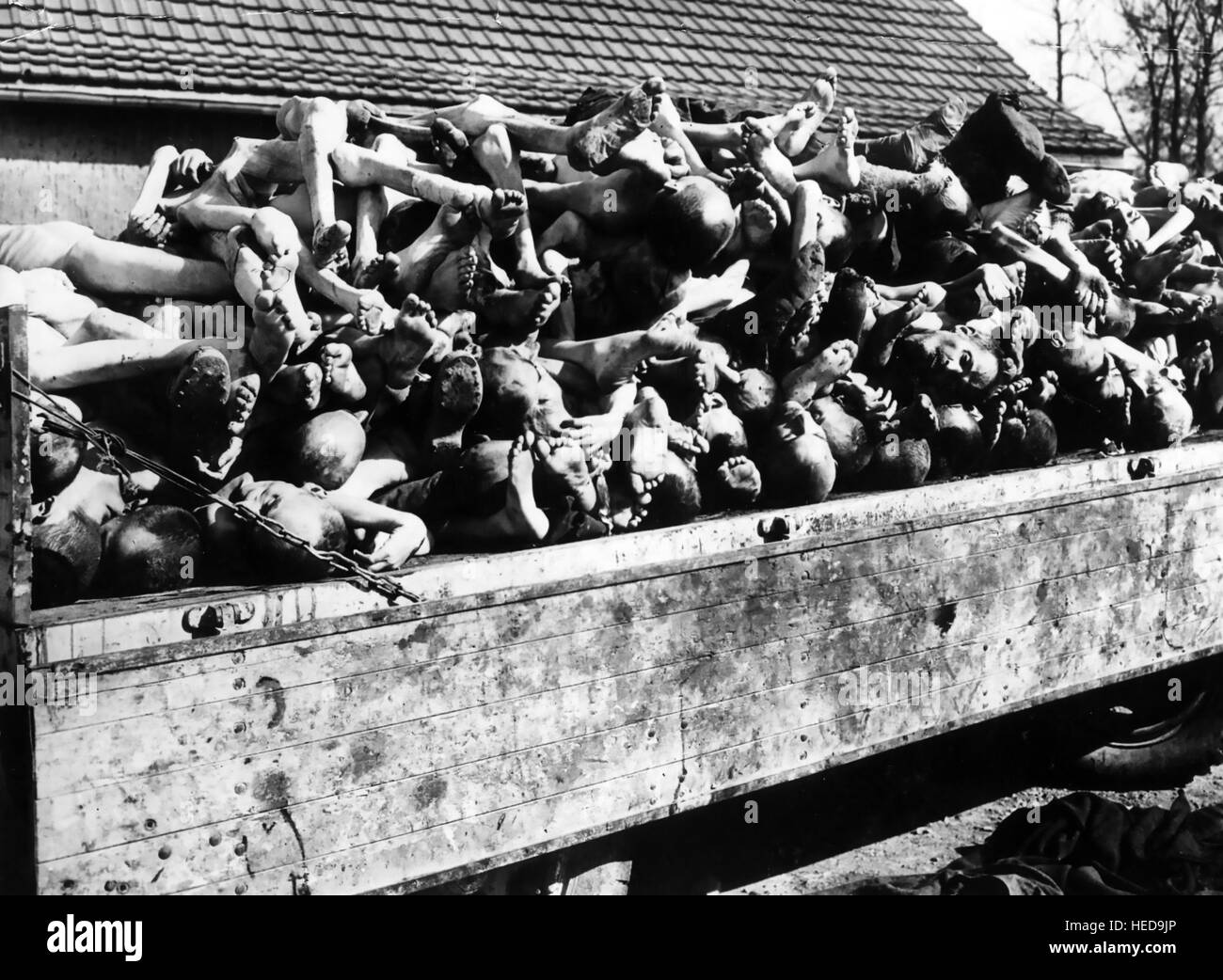 Konzentrationslager Buchenwald nach der Befreiung durch die amerikanischen Truppen im April 1945. Foto: US-Beamter Stockfoto