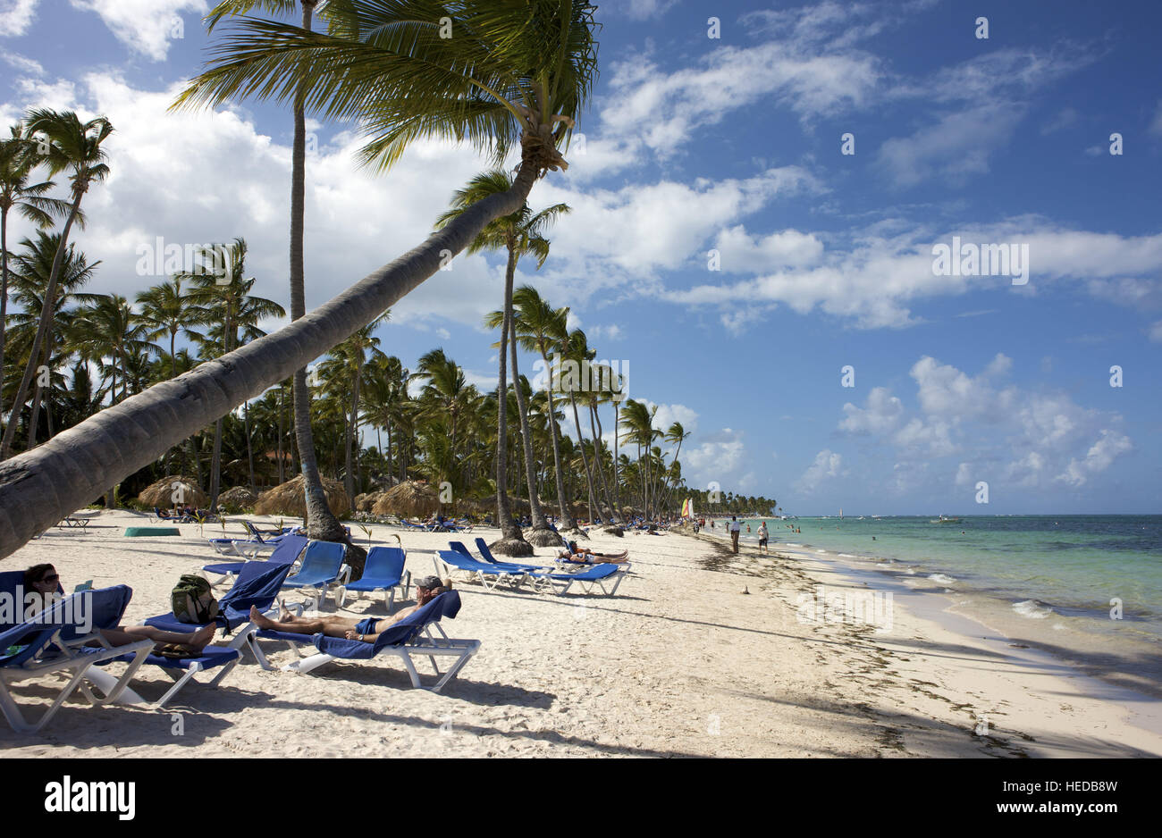 Touristen an einem palmengesäumten Strand, Punta Cana, Dominikanische Republik, Caribbean Stockfoto