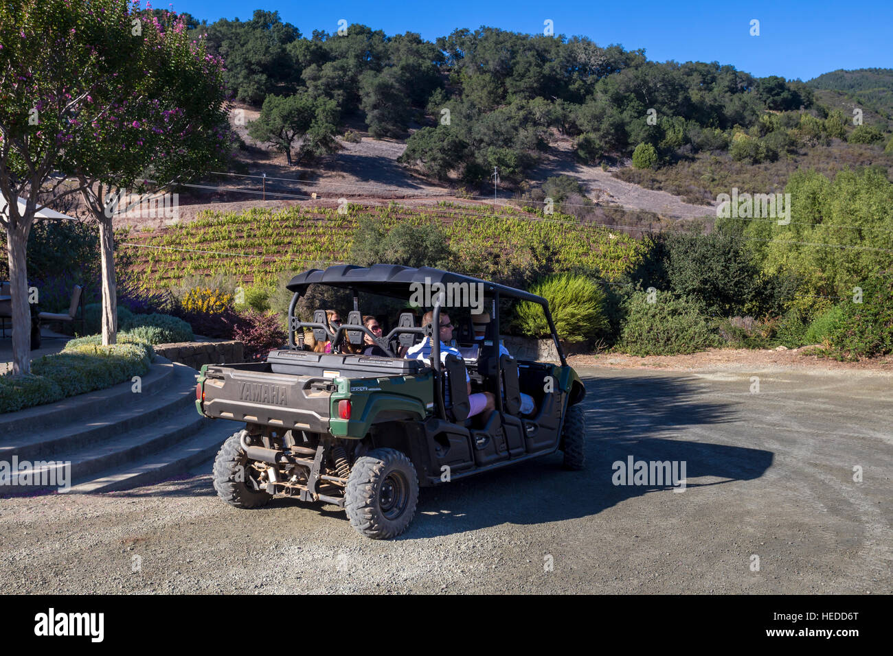 Touristen, ATV, Winery Tour, repris Weine, Sonoma, Sonoma County, Kalifornien, USA, Nordamerika Stockfoto