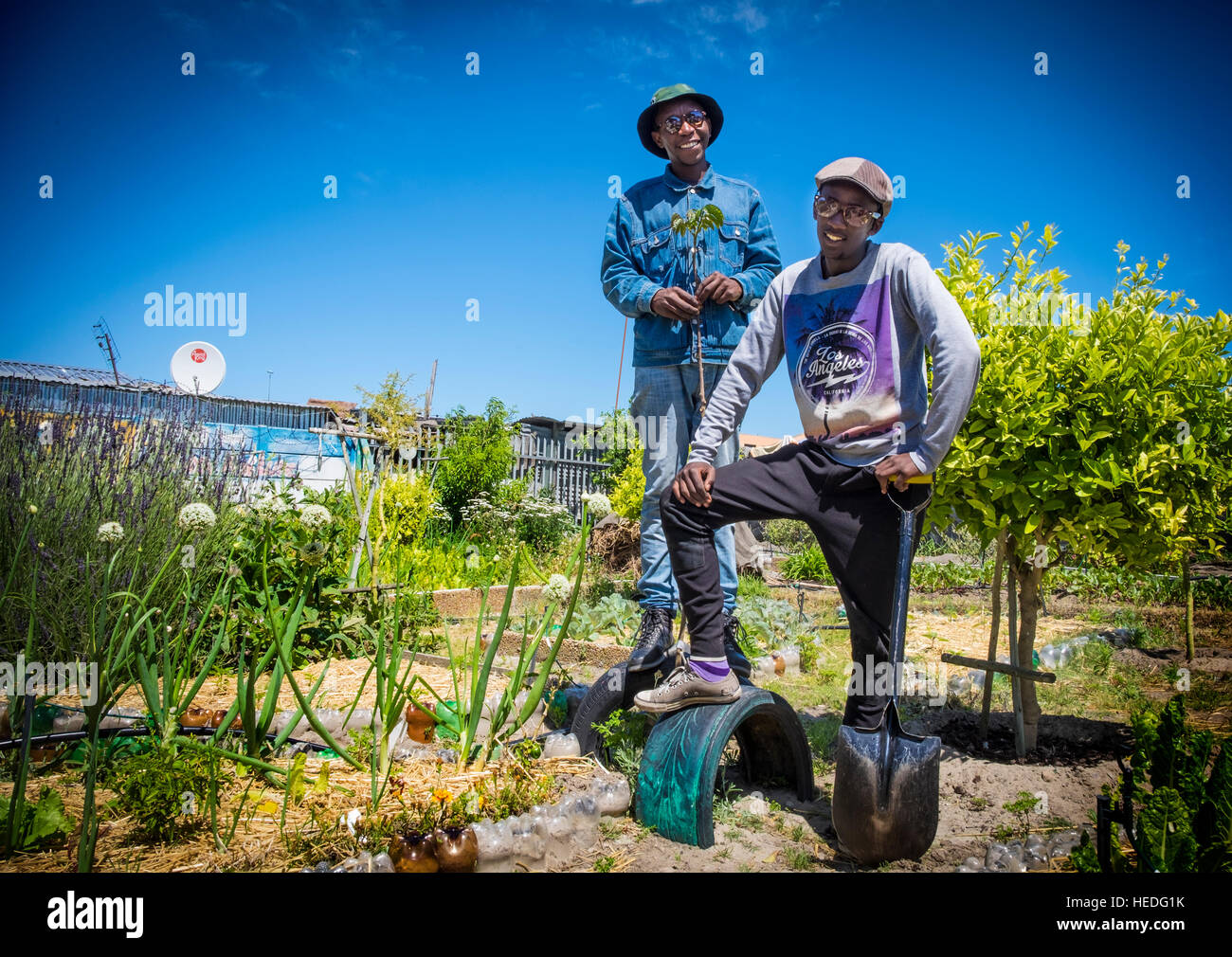 Zwei Gemeindeleiter in ihrem Garten in Khayelitsha Township, die Schülerinnen und Schüler in die Gartenarbeit zu fördert und erzieht sie über gesunde Ernährung. Das Projekt wird unterstützt durch Uthando, eine Firma, die verantwortlichen Tourismus zu Entwicklungsprojekten links. Stockfoto