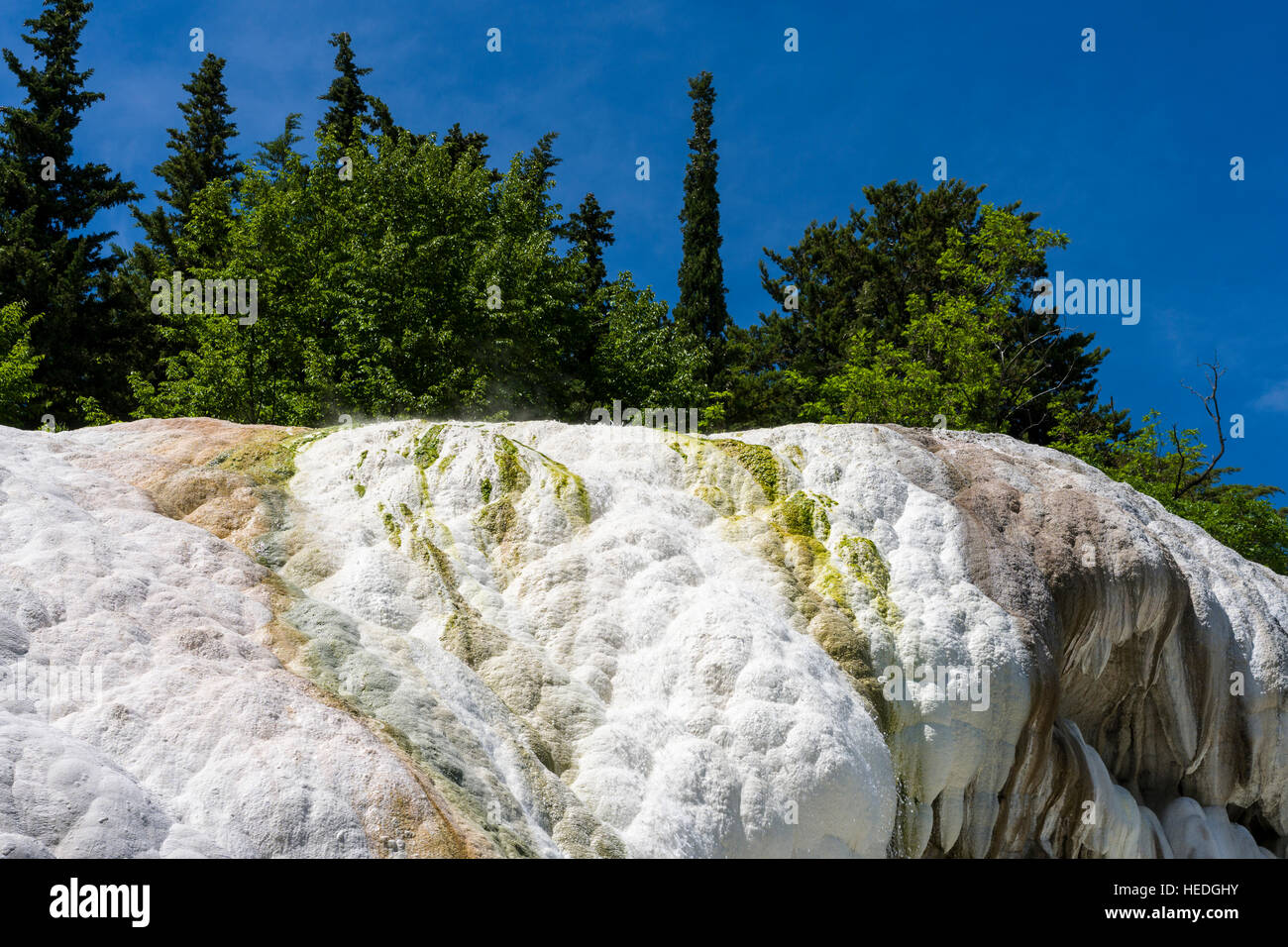 Die kumulierten weißen Mineralien der heißen Quellen von Bagni San Filippo in der Mitte des Waldes Stockfoto