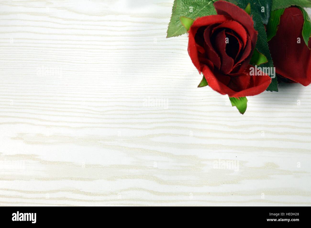Rote Rosenblätter mit Keil auf weißem Holz Hintergrund Stockfoto