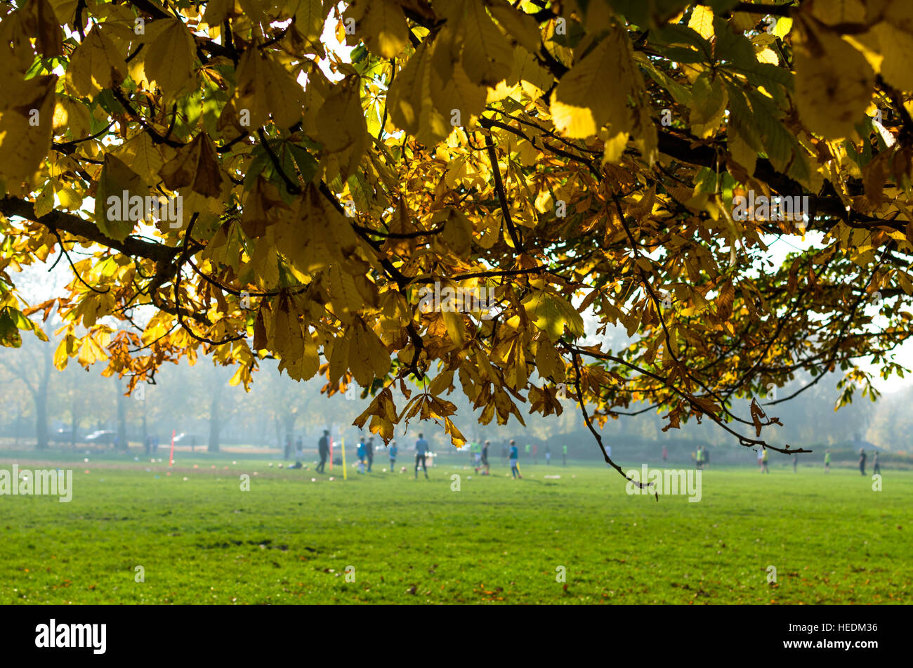 Ein Spiel des Fußballs im Hyde Park im Herbst Stockfoto