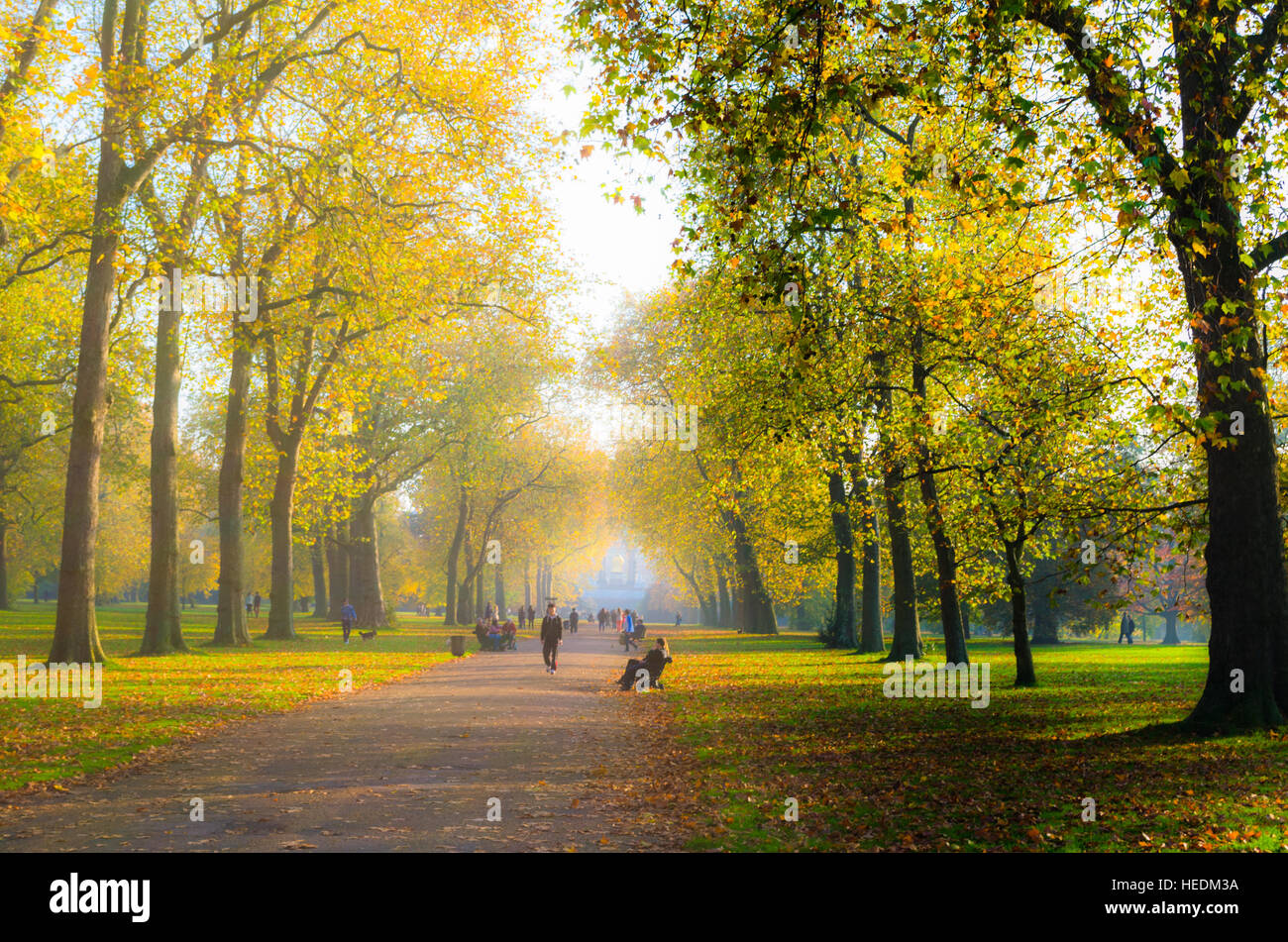 Herbst im Park Kensington Gardens neben dem Hyde Park, London Stockfoto
