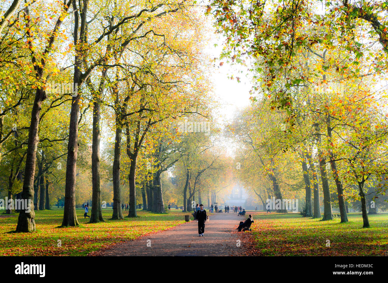 Die Kensington Gardens im Herbst, London Stockfoto