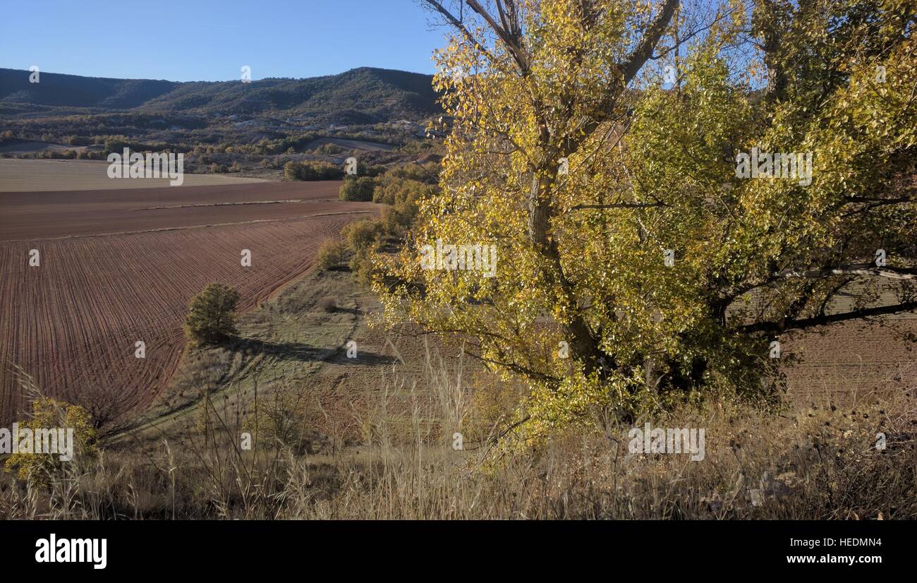 Landschaft in La Alcarria, Spanien Stockfoto