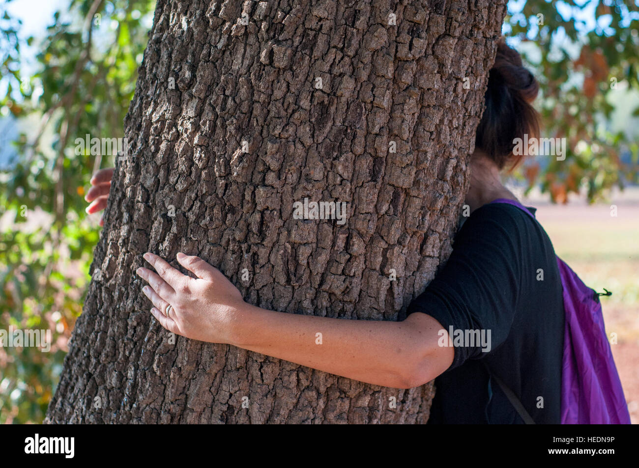 Frau umarmt Baum Stockfoto