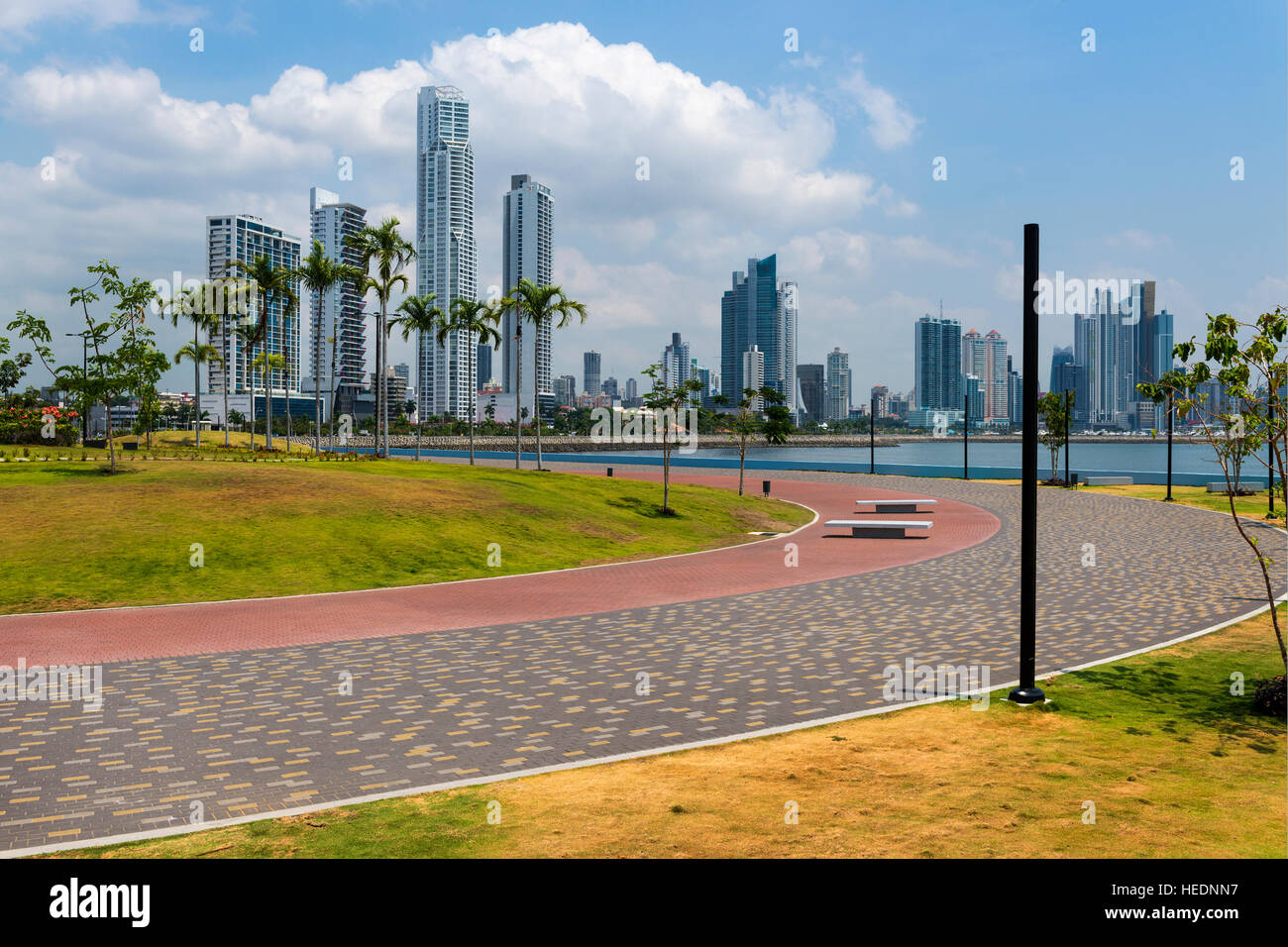 Blick auf das Bankenviertel in der Innenstadt von Panama City, Panama, ein Park mit Palmen; Konzept für eine Reise nach Panama Stockfoto