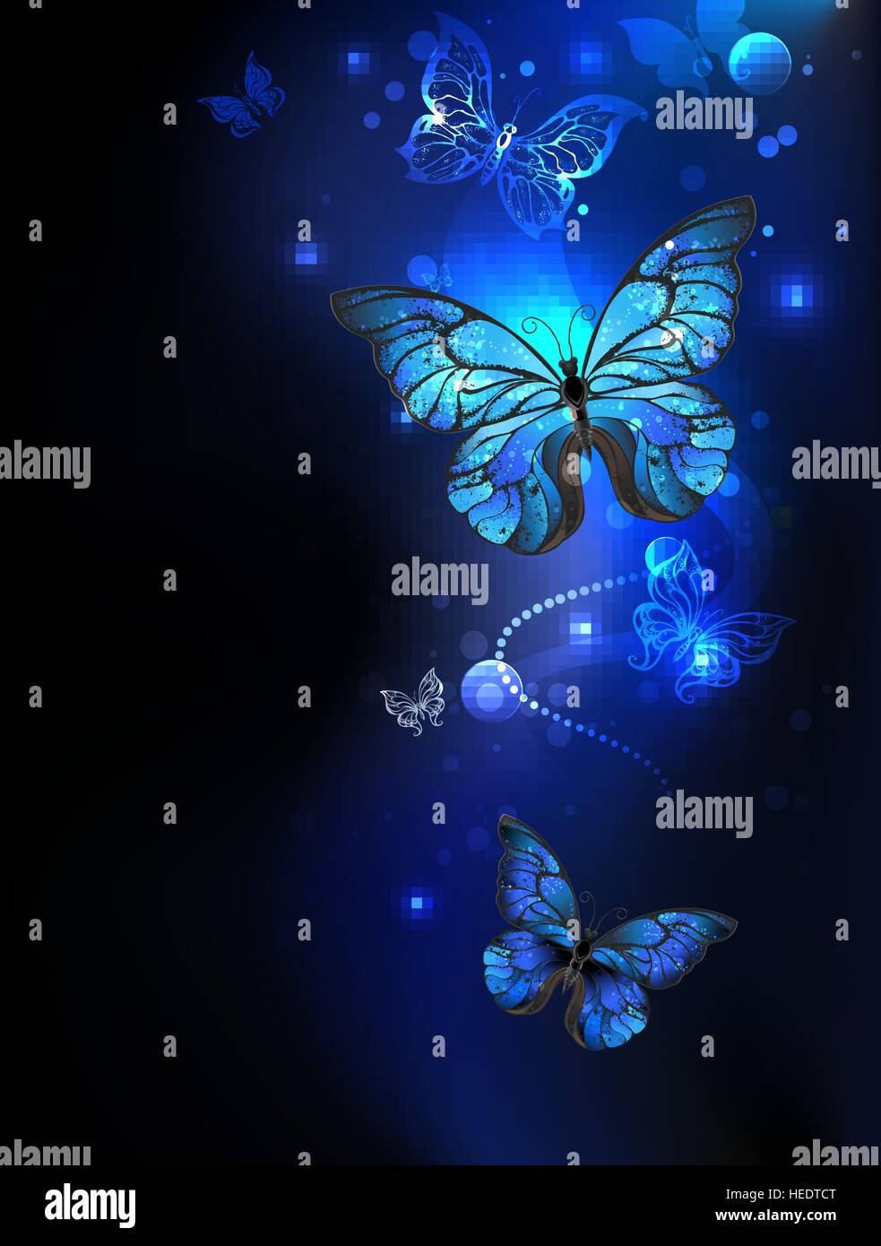 Blau leuchtende Schmetterlinge Morpho auf einem dunklen Hintergrund. Morpho. Design mit Schmetterlingen. Stock Vektor