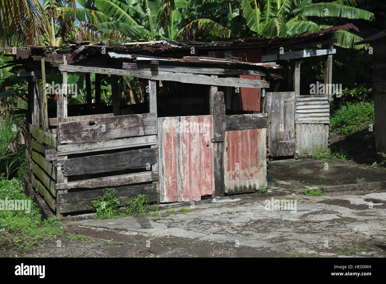 Karibische Hütte im Freien. Stockfoto